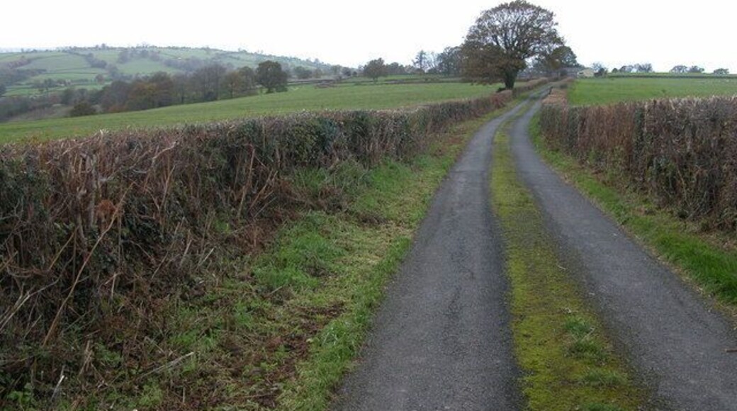 Country road near Wigga, Rowlestone The farm buildings at Wigga can be seen in the background.