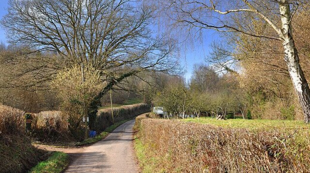 Country Road near Rowlestone Looking in the direction of Penyworlod.