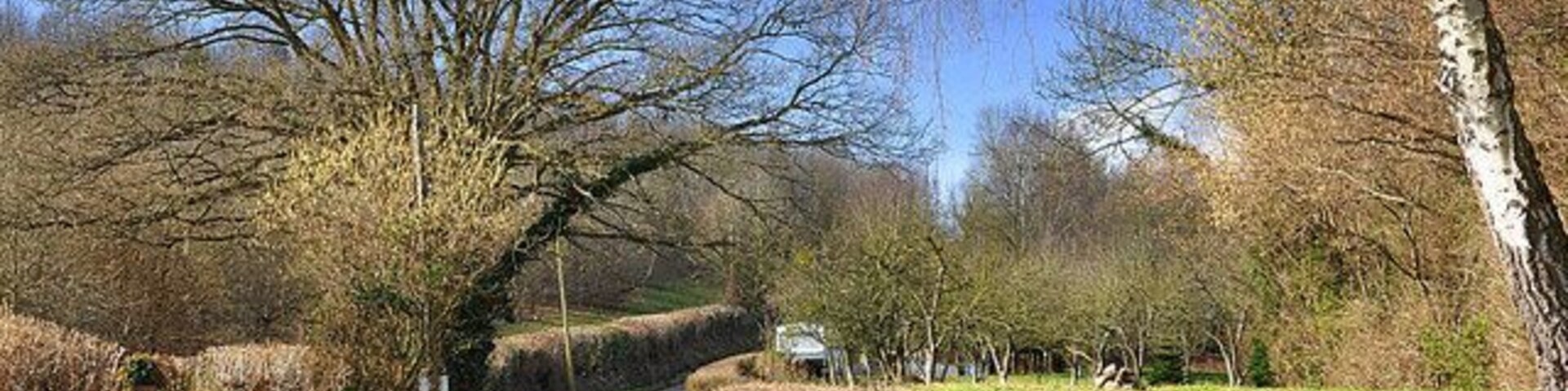 Country Road near Rowlestone Looking in the direction of Penyworlod.