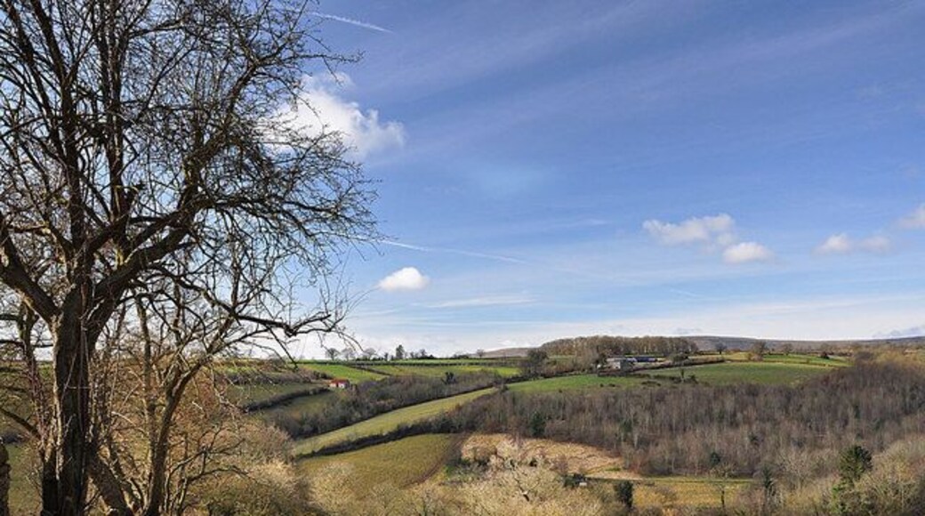 Farmland near Rowlestone In the far distance you can just see the Black Mountains.