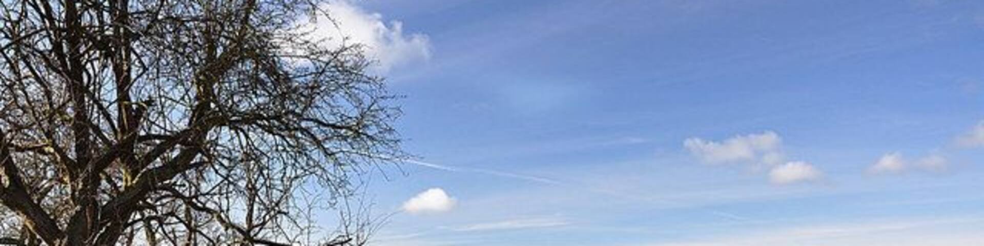 Farmland near Rowlestone In the far distance you can just see the Black Mountains.