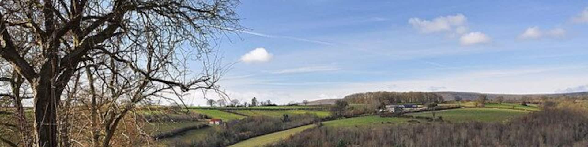 Farmland near Rowlestone In the far distance you can just see the Black Mountains.