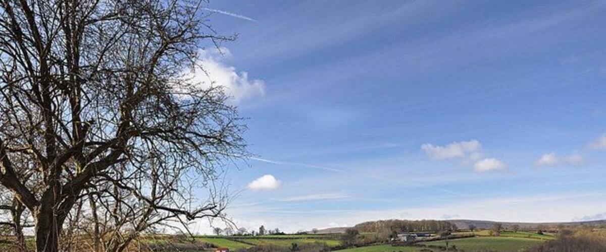 Rolling hills, a tree, and a clear sky.