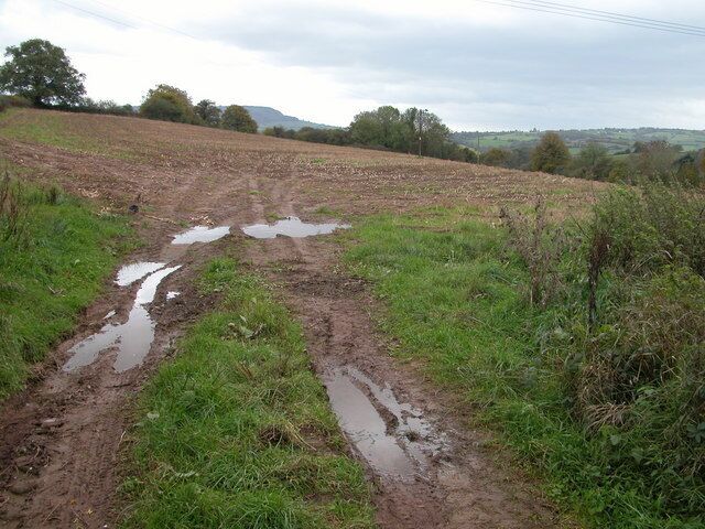 Farmland to the south-east of Rowlestone The view to the south-east across this field is from the junction of roads.
