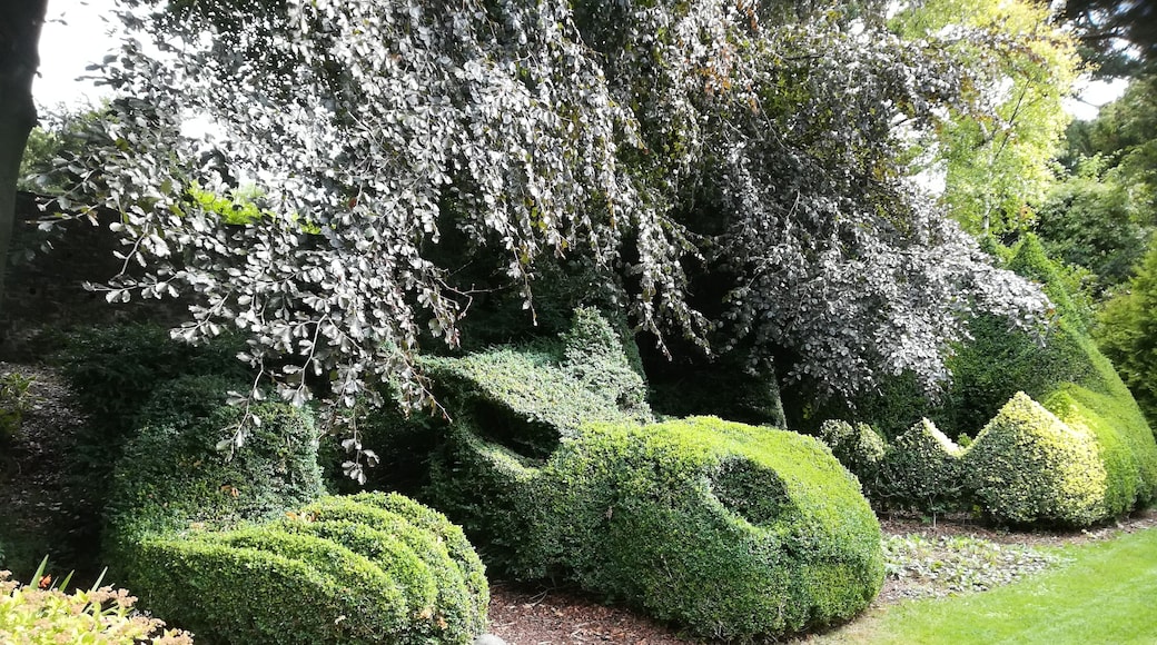 Dalemain garden, Velká Británie, drak v zahradě