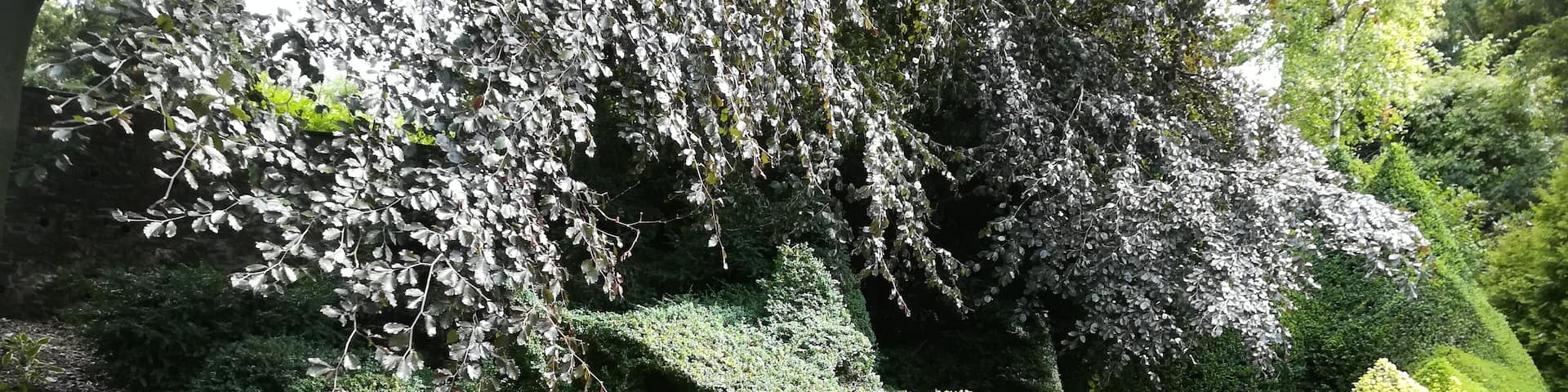 Dalemain garden, Velká Británie, drak v zahradě