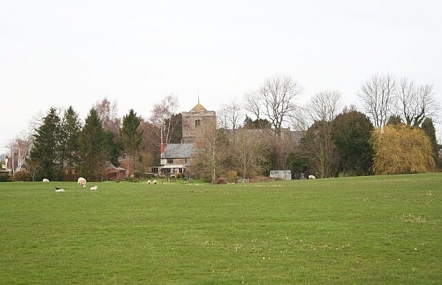 A green field with sheep, a church with a golden dome, and trees in the background.