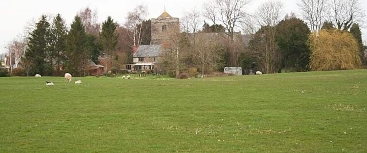 A green field with sheep, a church with a golden dome, and trees in the background.