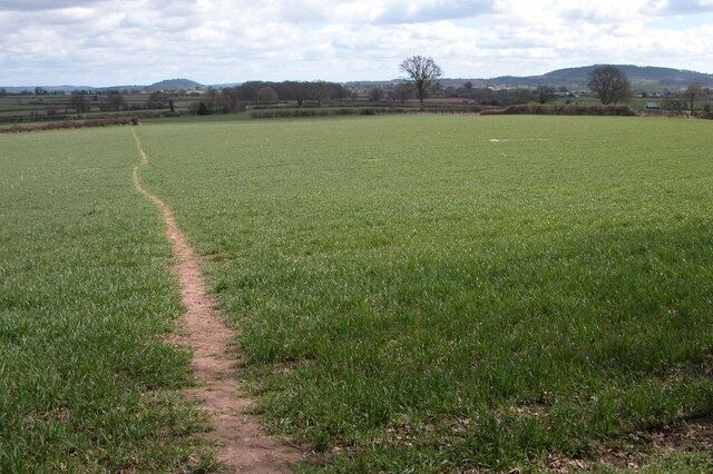 Footpath near Mawfield Farm. Footpath to Allensmore crossing a field of winter cereal to the north of Mawfield Farm. View to the east.