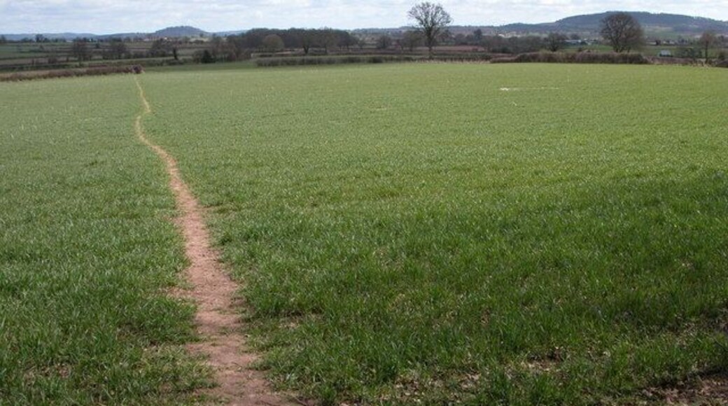 Footpath near Mawfield Farm. Footpath to Allensmore crossing a field of winter cereal to the north of Mawfield Farm. View to the east.