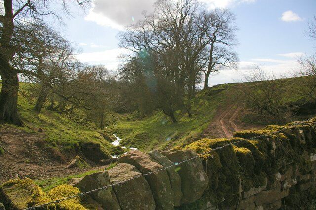 Small Valley and Stream North of Village.
