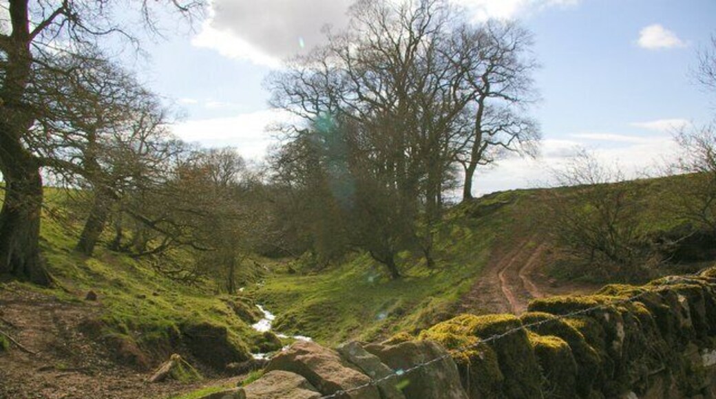 Small Valley and Stream North of Village.