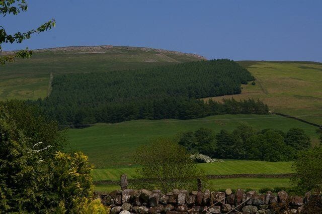 Rolling green hills, a stone wall, and a dense forest.