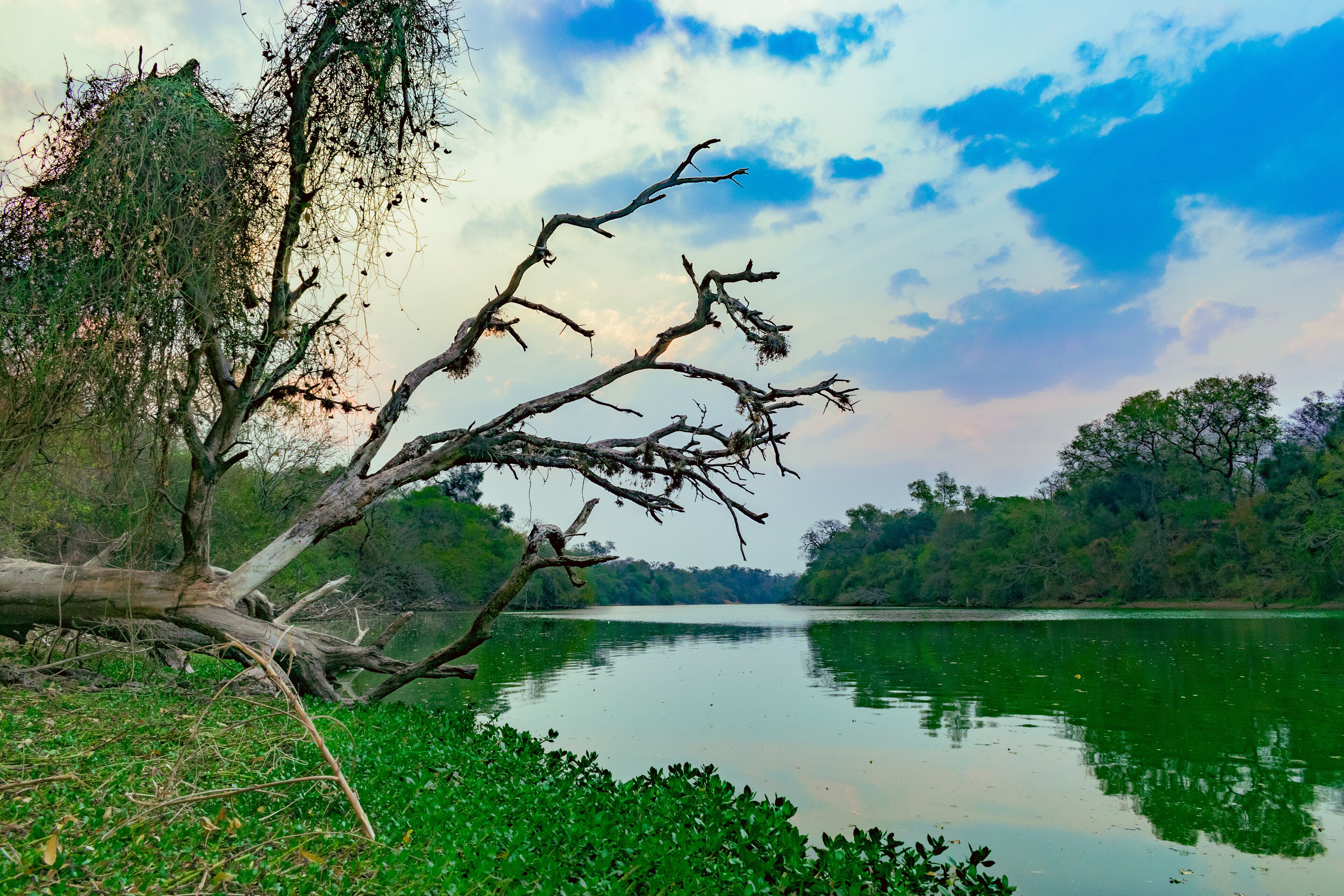 lago verde, lago el salado en el litoral chaqueño