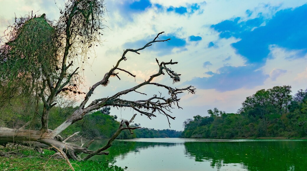 lago verde, lago el salado en el litoral chaqueño