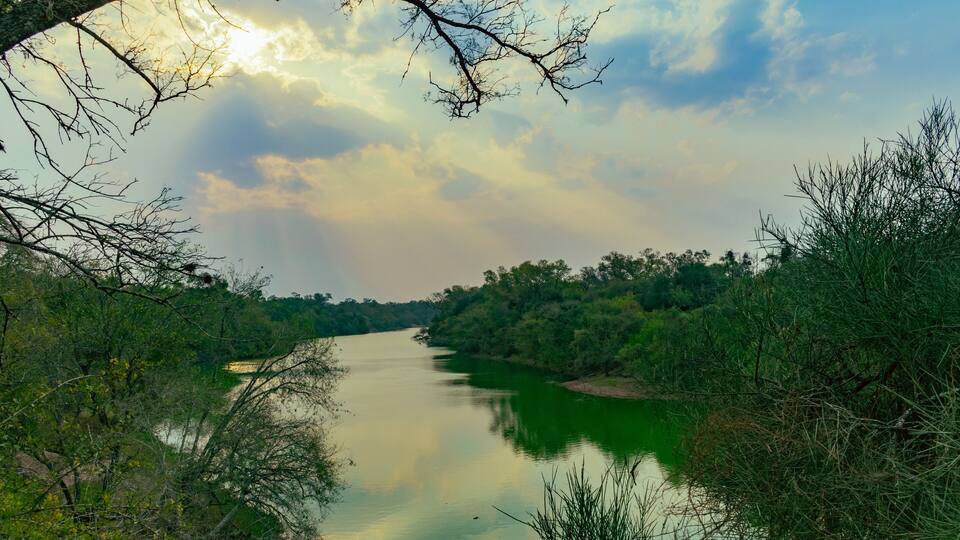 A river surrounded by dense greenery and trees.