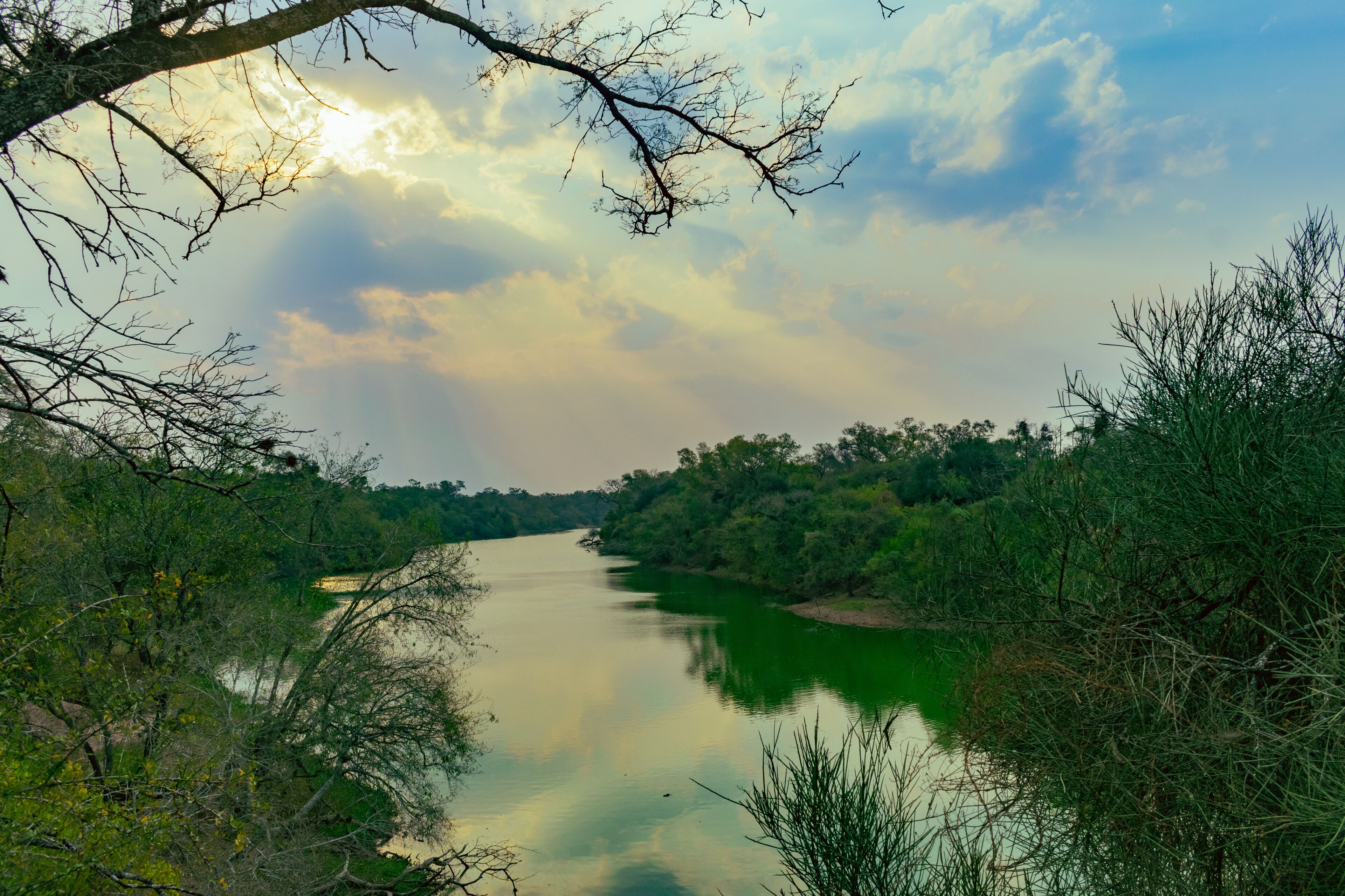 A river surrounded by dense greenery and trees.