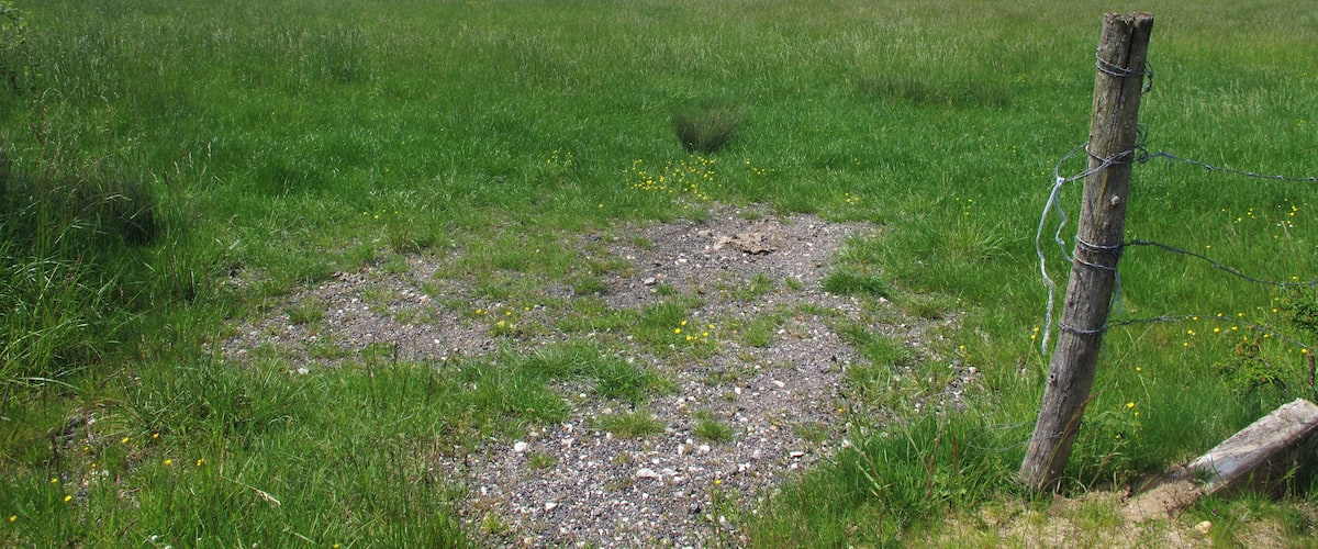 A grassy field with a dirt patch and a wooden post with barbed wire.