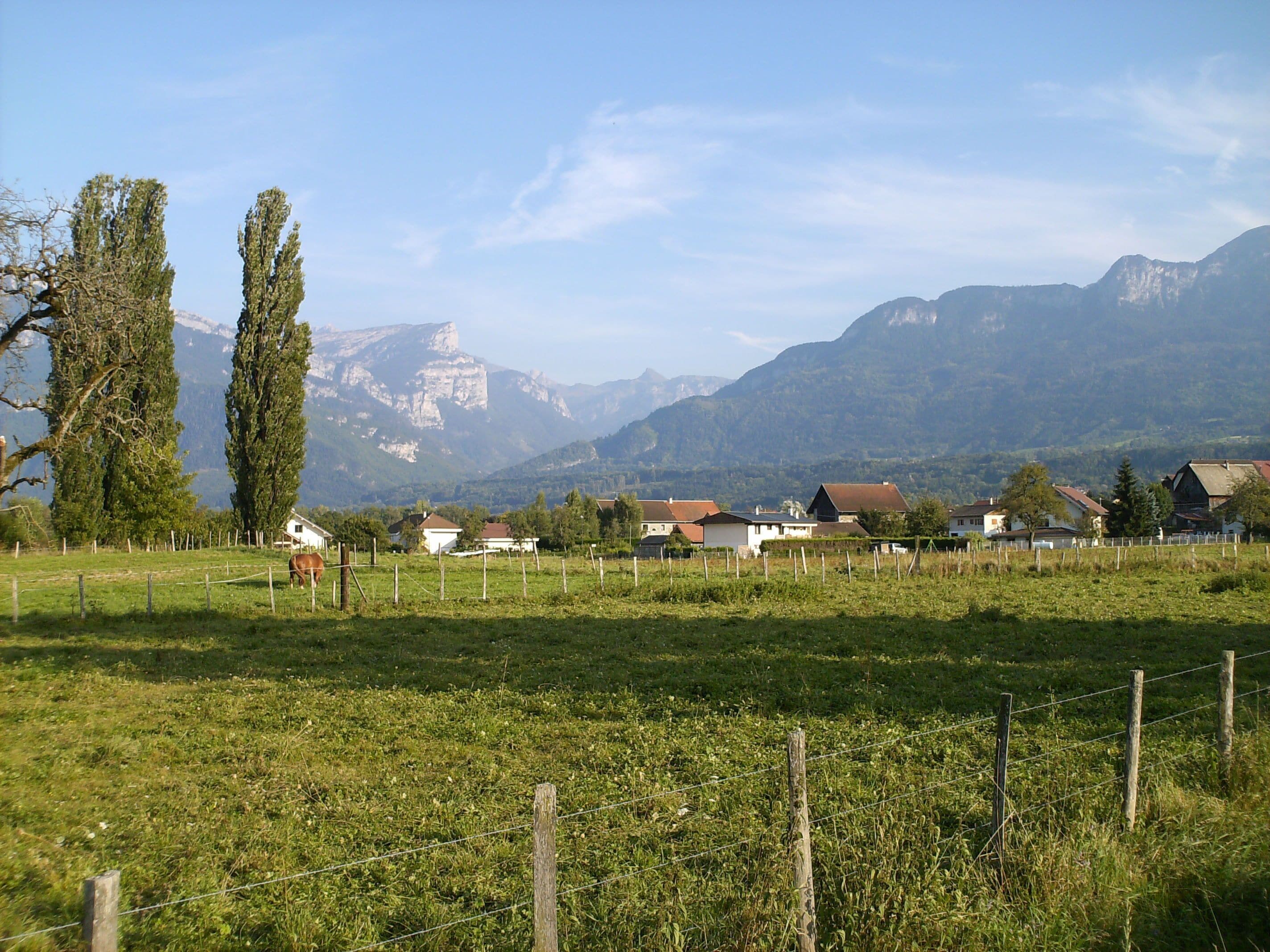 A rural landscape with houses, a field, and mountains in the background.