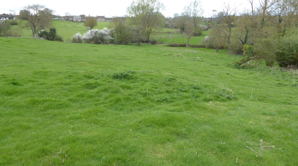 King's Cliffe Banks is a biological Site of Special Scientific Interest in Kings' Cliffe in Northamptonshire.