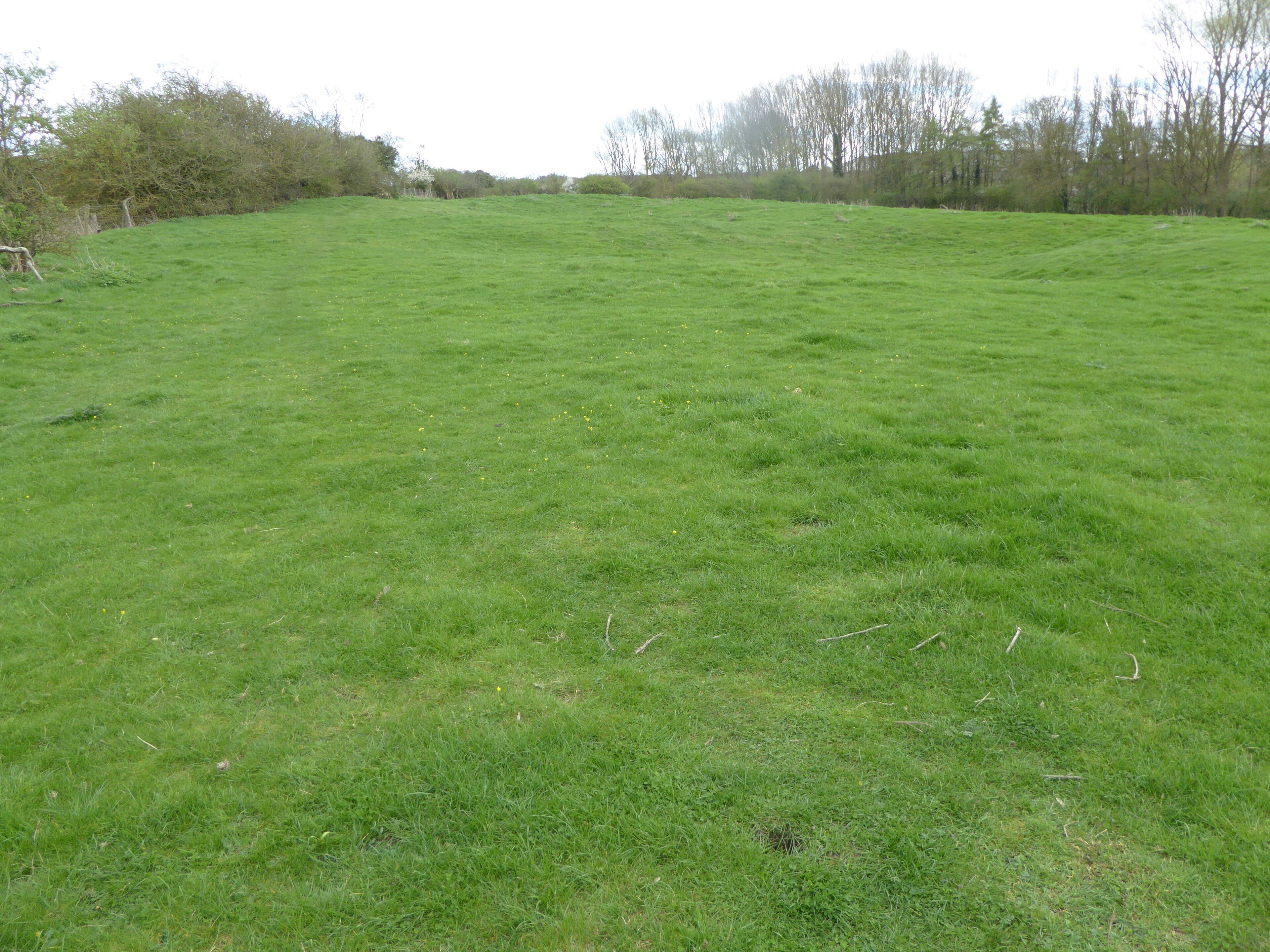 King's Cliffe Banks is a biological Site of Special Scientific Interest in Kings' Cliffe in Northamptonshire.