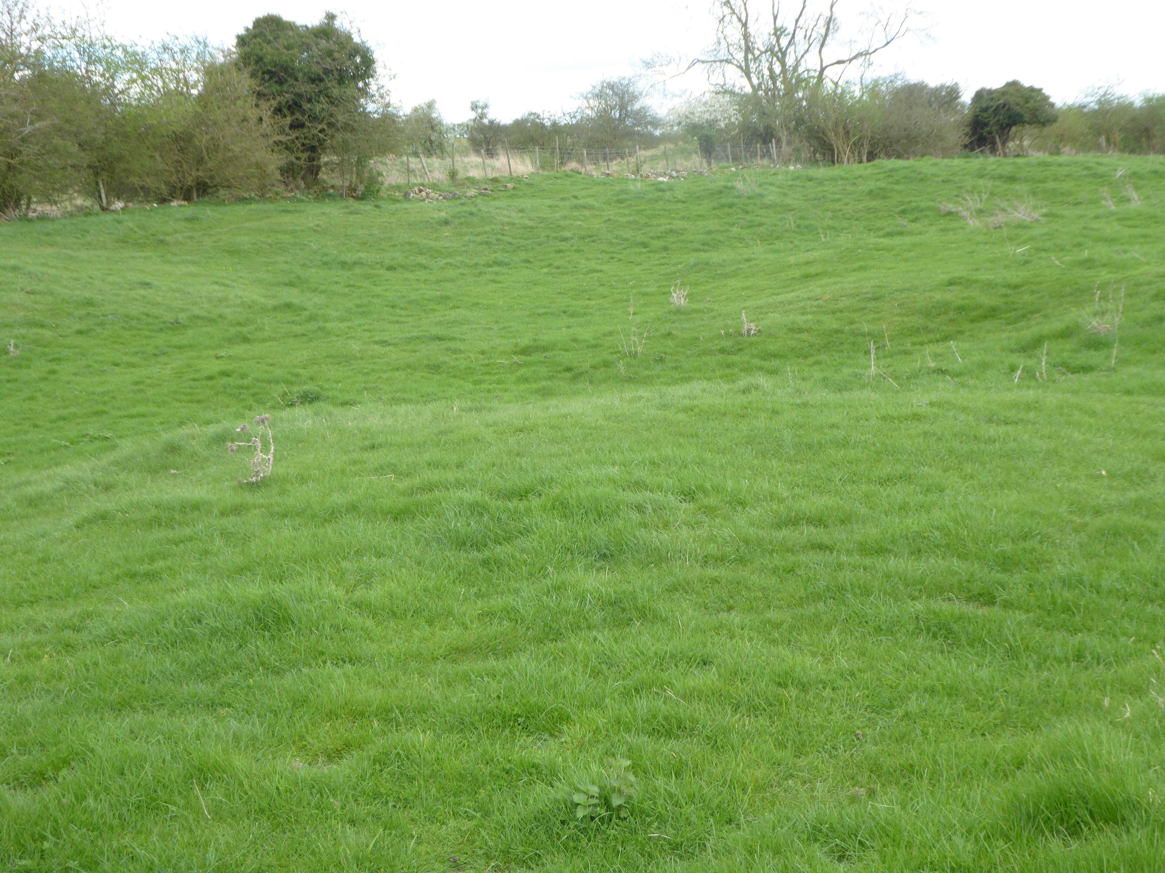 King's Cliffe Banks is a biological Site of Special Scientific Interest in Kings' Cliffe in Northamptonshire.