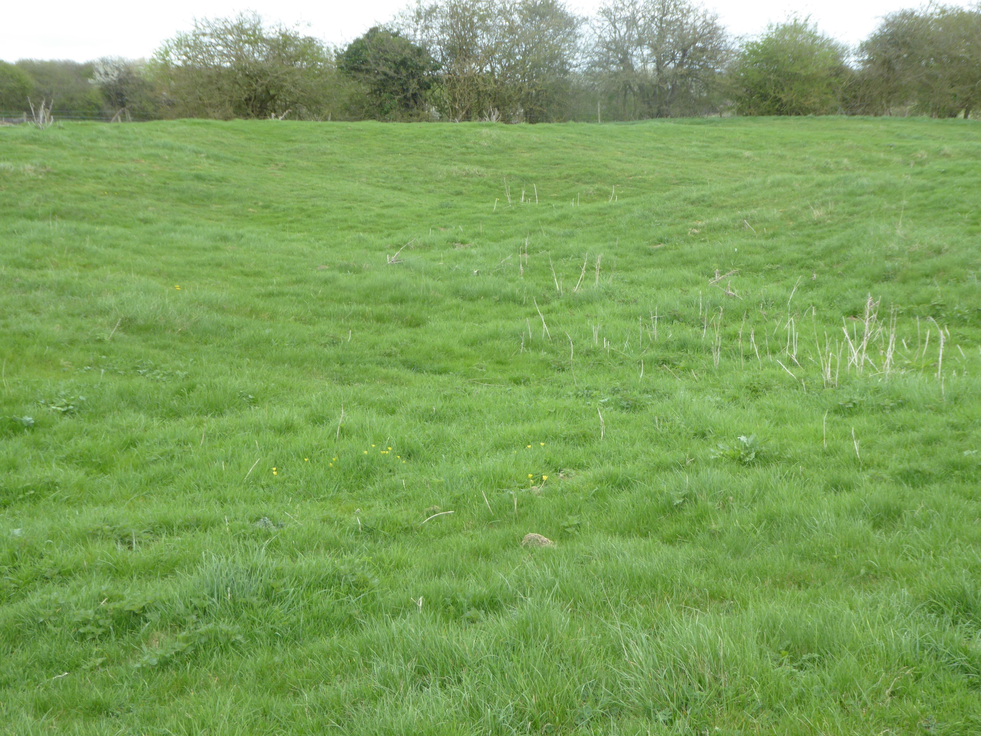 King's Cliffe Banks is a biological Site of Special Scientific Interest in Kings' Cliffe in Northamptonshire.