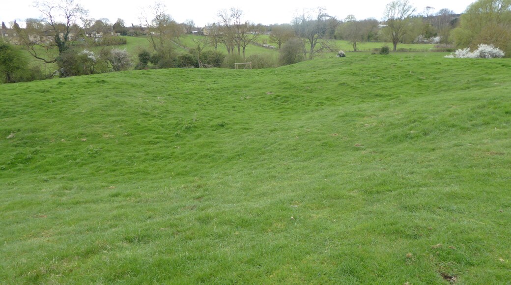 King's Cliffe Banks is a biological Site of Special Scientific Interest in Kings' Cliffe in Northamptonshire.