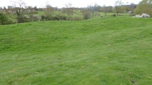 King's Cliffe Banks is a biological Site of Special Scientific Interest in Kings' Cliffe in Northamptonshire.