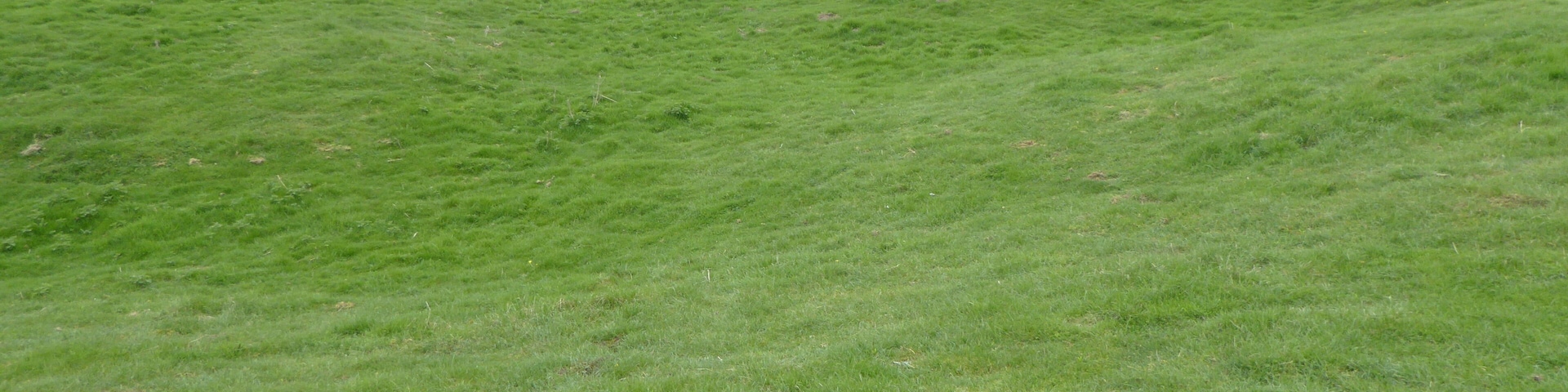 King's Cliffe Banks is a biological Site of Special Scientific Interest in Kings' Cliffe in Northamptonshire.