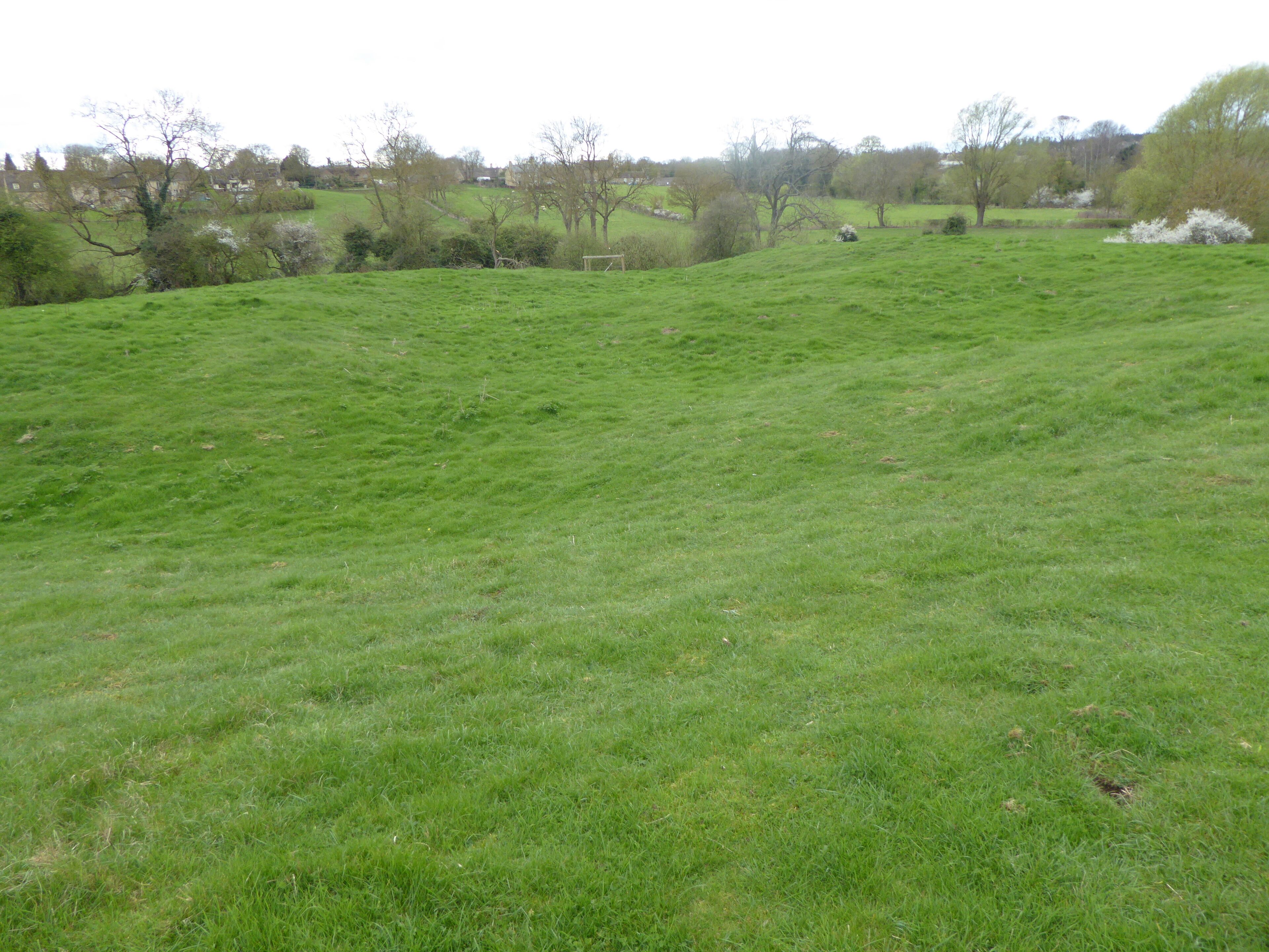 A grassy field with scattered trees and a distant view of houses.