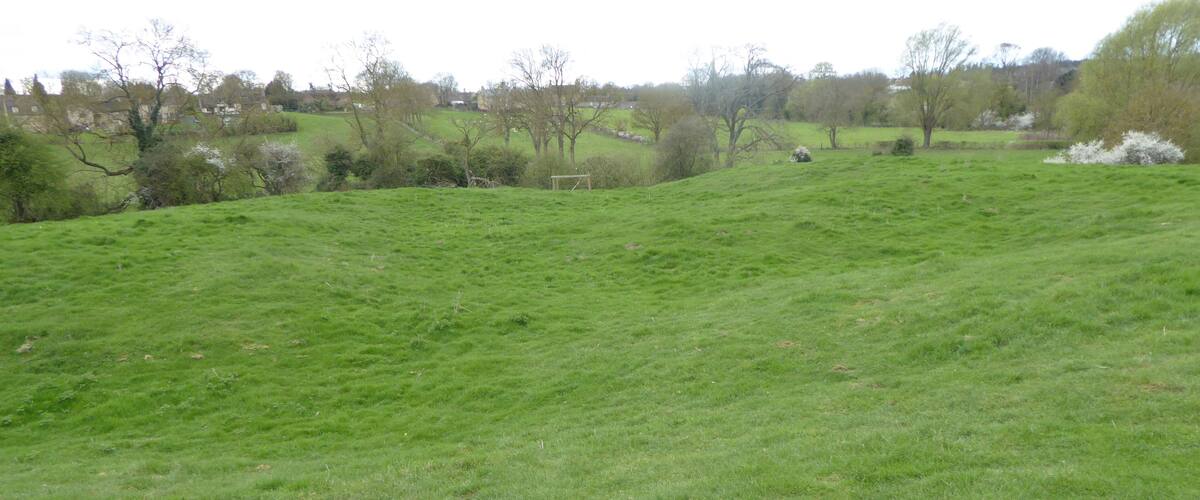 A grassy field with scattered trees and a distant view of houses.