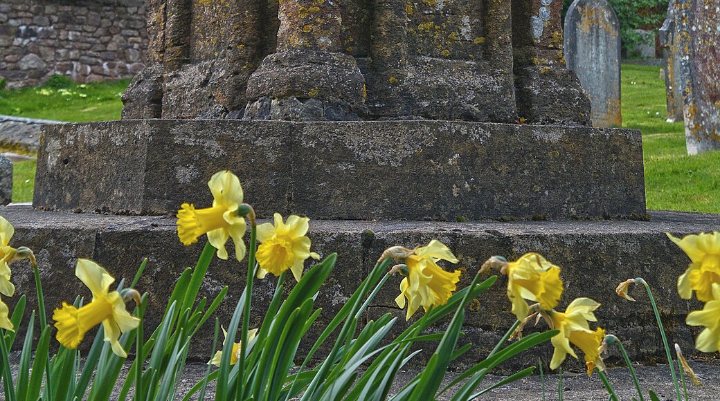 Wootton Courtenay : Church of All Saints - Churchyard Cross