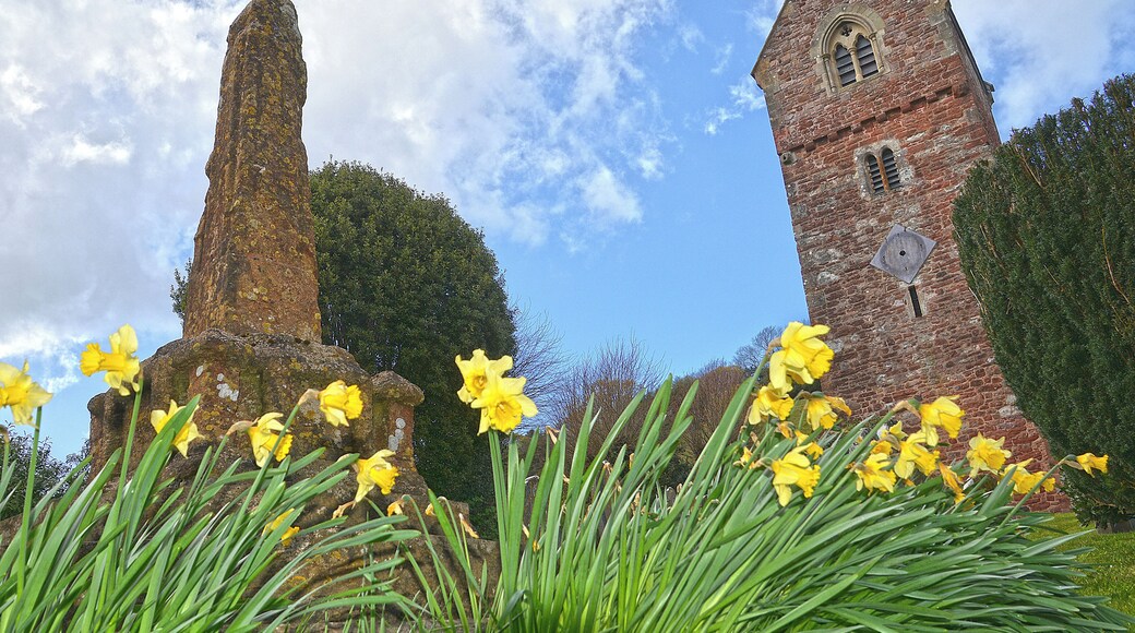 Wootton Courtenay : Church of All Saints