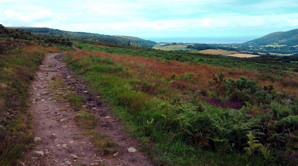 Exmoor mountain biking