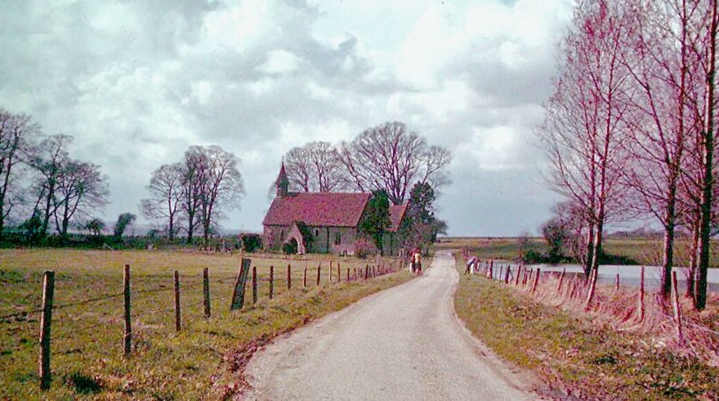 View along lane to St Leonard's Church, Hartley Mauditt, 1963. View NW by Hartley Pond, by Hartley Park. Spring seemed reluctant that year.