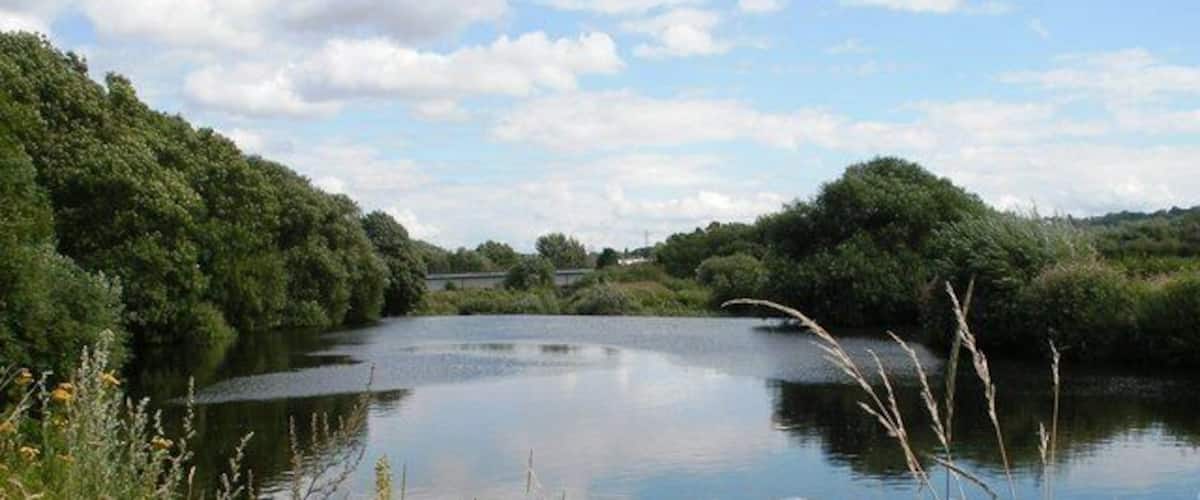 Ein ruhiger Fluss, umgeben von üppigem Grün und Wildblumen.