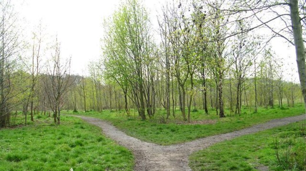 Betty Eastwood Park - Bull Lane Reclaimed from the site of Crigglestone Colliery.