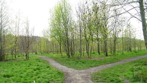 Betty Eastwood Park - Bull Lane Reclaimed from the site of Crigglestone Colliery.