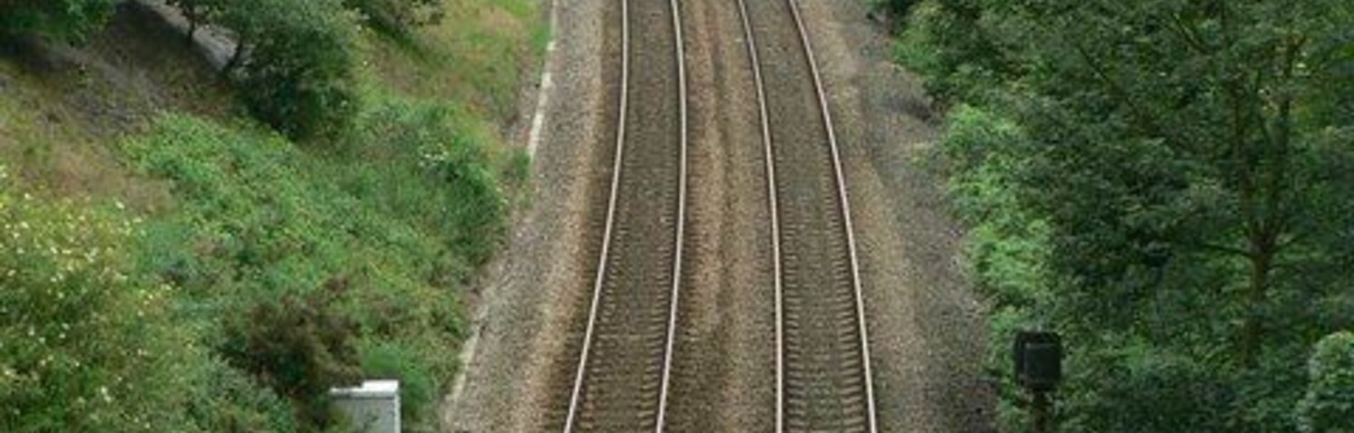 Vías de tren serpenteando a través de un paisaje verde con árboles frondosos.