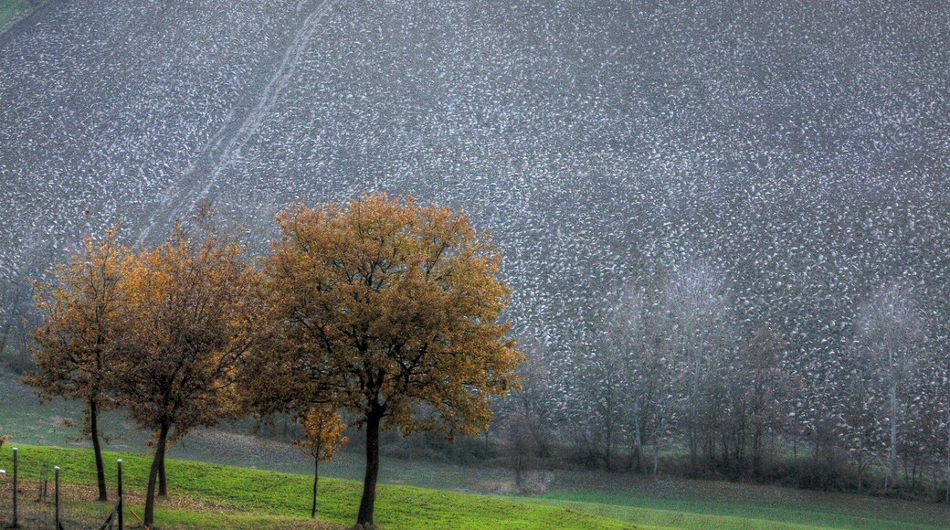 Sunset - Albinea (RE) Italy - December 7, 2011