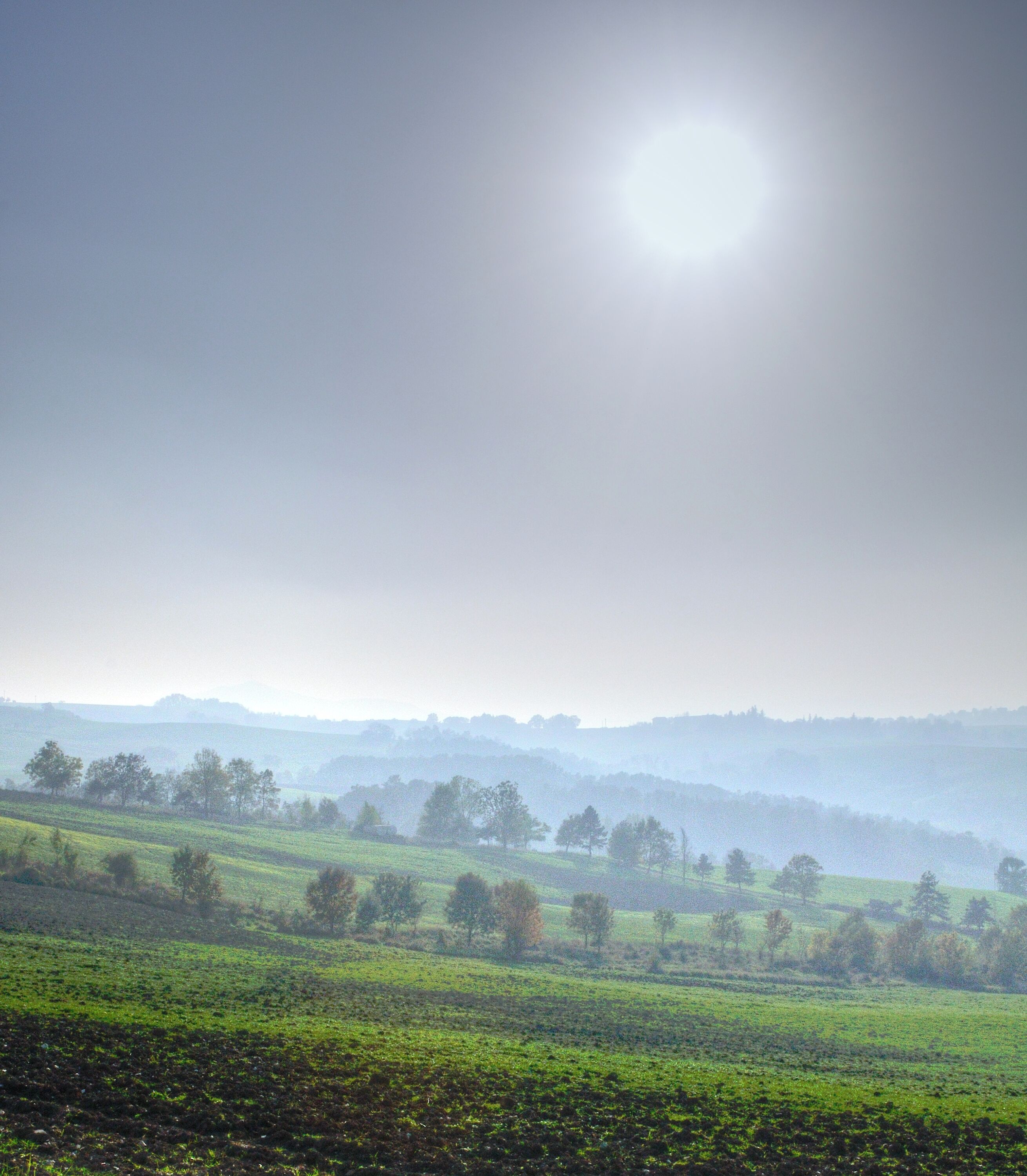 Trees - Viano (RE) Italy - October 22, 2012