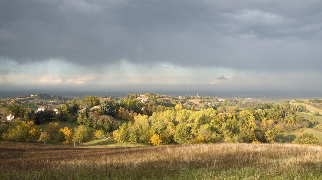 Albinea Hills - Montericco, Albinea (RE) Italy - November 6, 2012