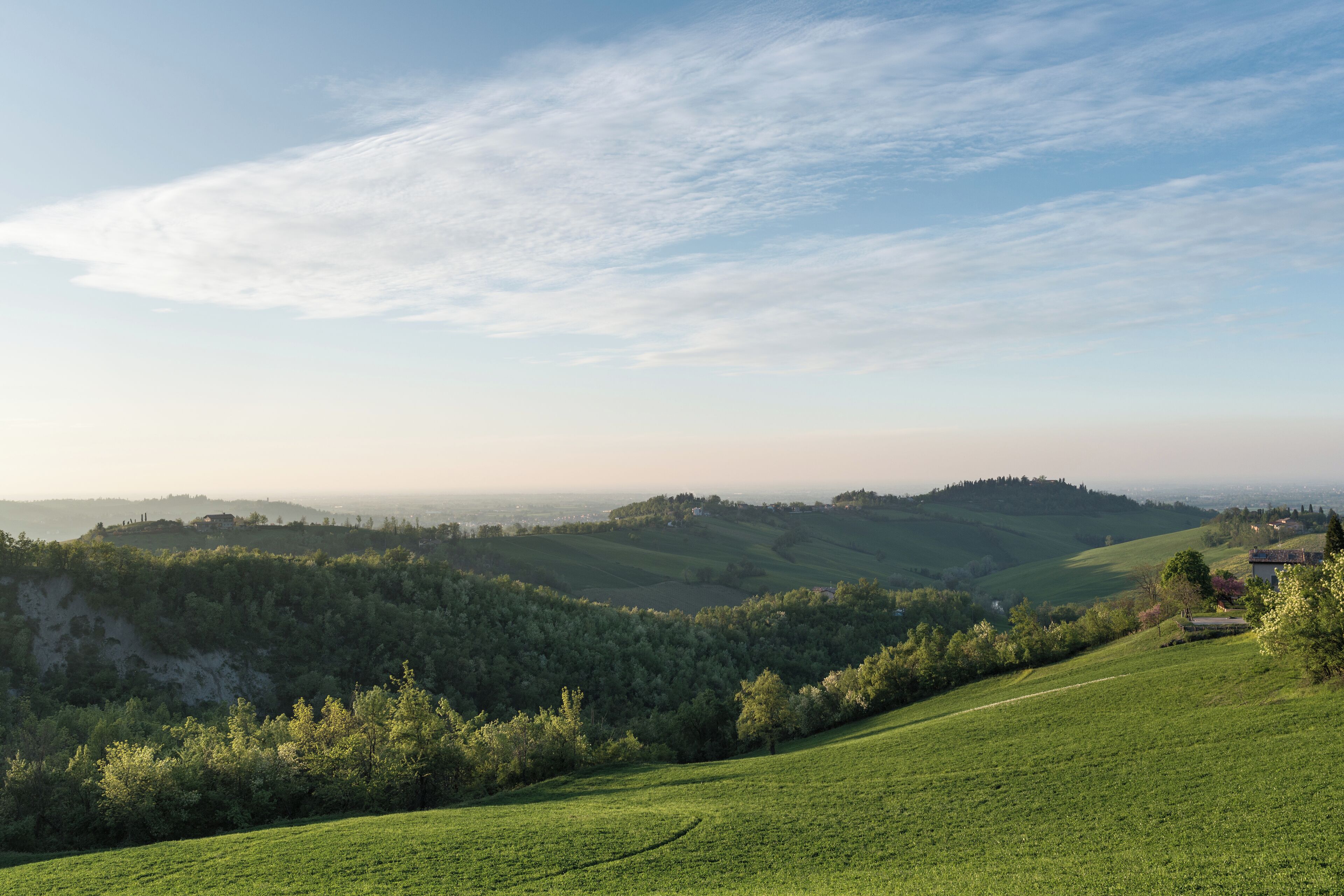 Prime Colline Reggiane - Albinea (RE) Italia - 20 Aprile 2015