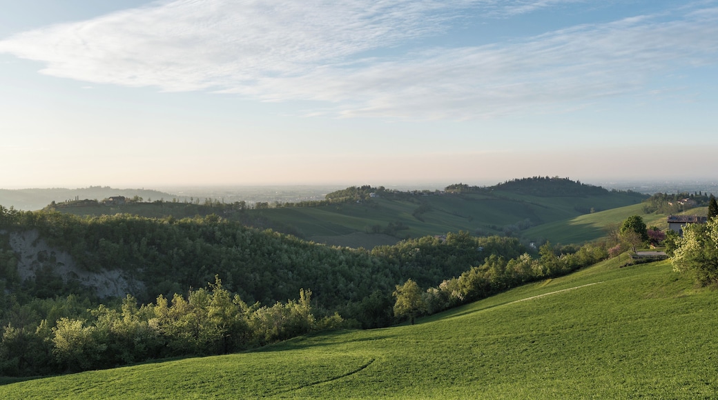 Prime Colline Reggiane - Albinea (RE) Italia - 20 Aprile 2015