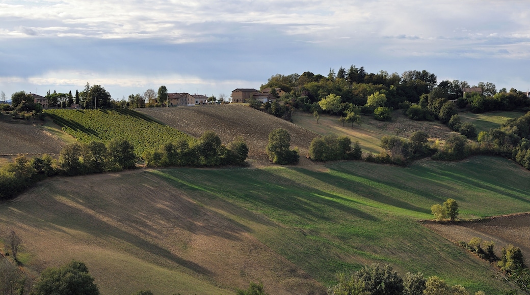 Albinea's Hills - Albinea (RE) Italy - September 19, 2011