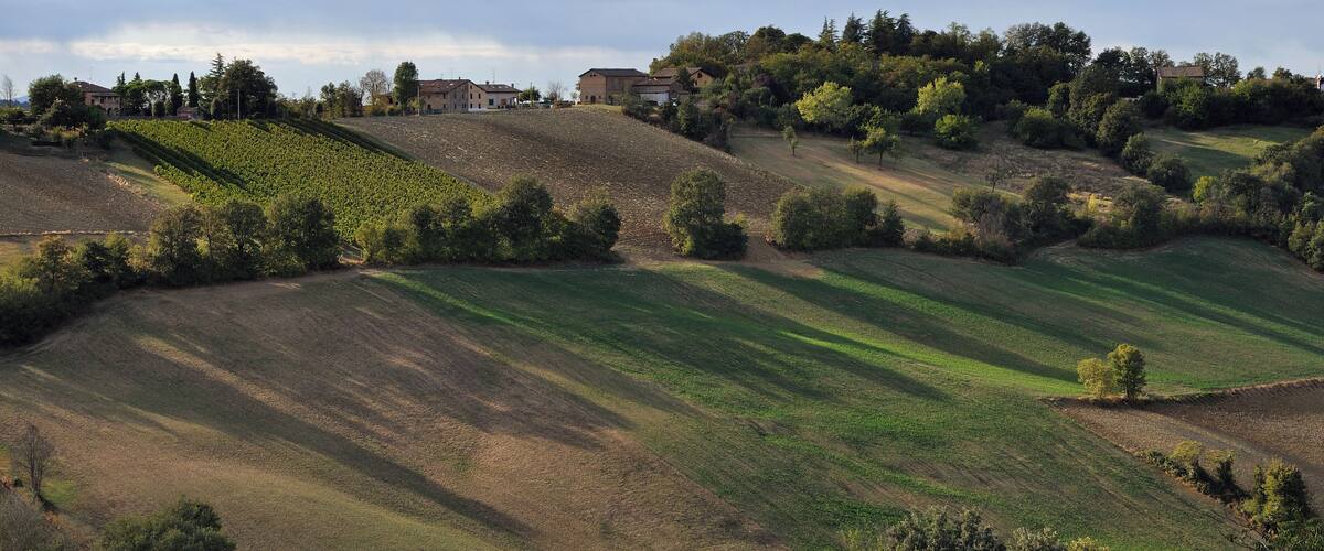 Albinea's Hills - Albinea (RE) Italy - September 19, 2011