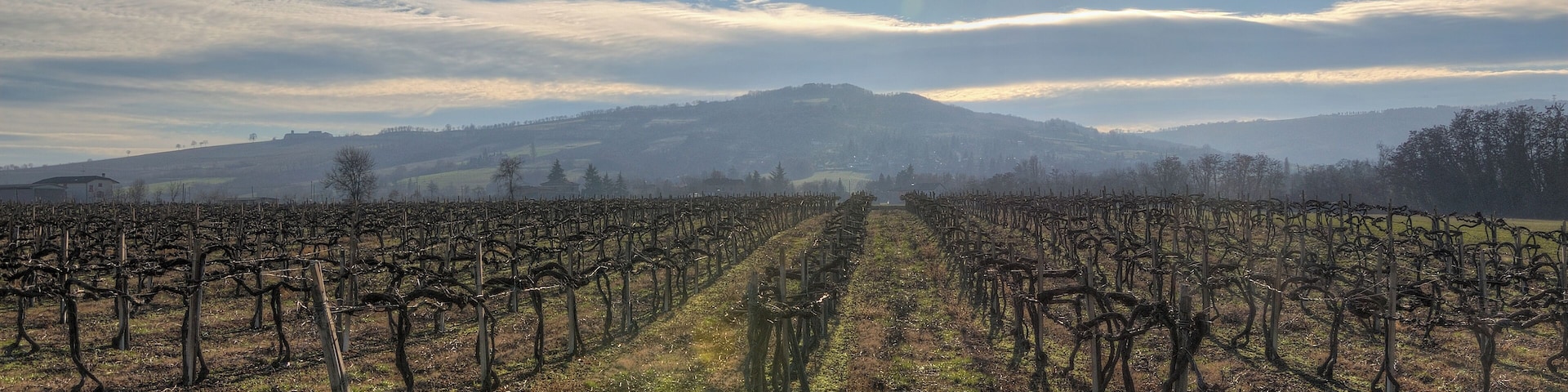 Prime Colline di Albinea - Albinea (RE) Italia - 26 Dicembre 2011