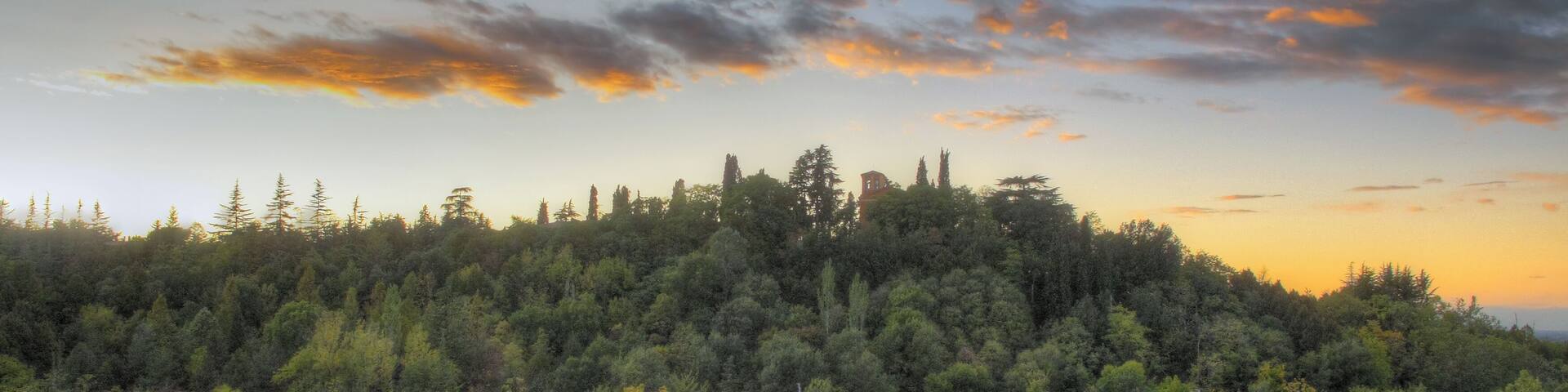 Parco Fola - Albinea (RE) Italia - 8 Ottobre 2011