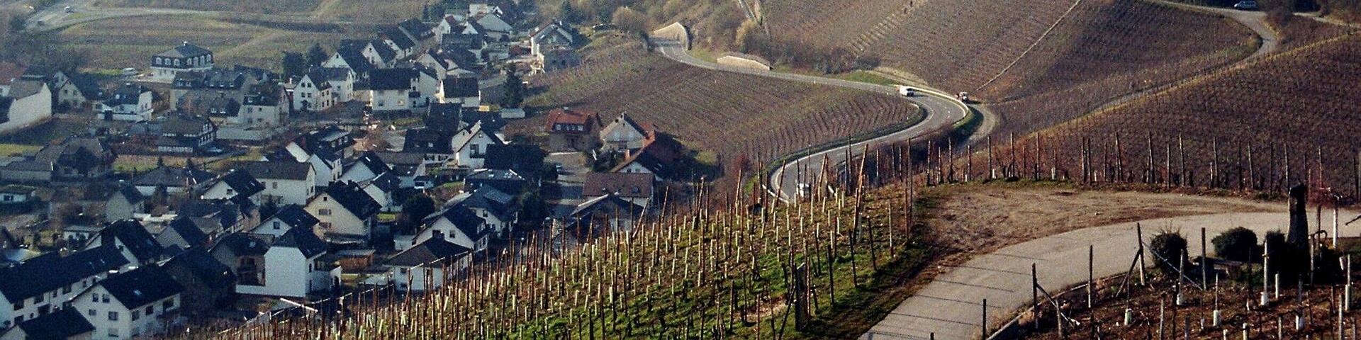 Dernau, the red wine hiking trail